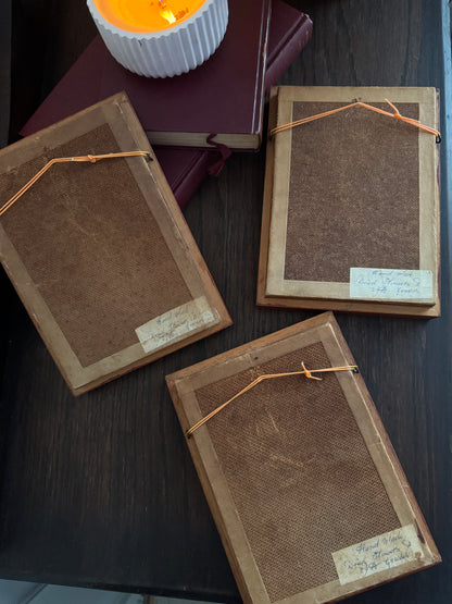 Heritage Botanica Collection – Signed Handmade Dried Flower Art Sets