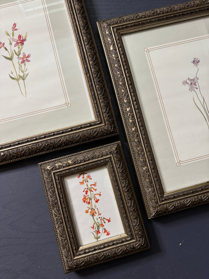 Cottage Blooms – Vintage-Inspired Floral Frame Gallery