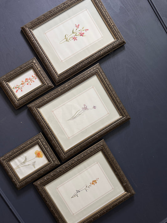 Cottage Blooms – Vintage-Inspired Floral Frame Gallery