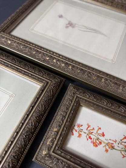 Cottage Blooms – Vintage-Inspired Floral Frame Gallery