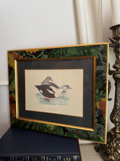 Quaint & Feathered – Rustic Duck Print Duo