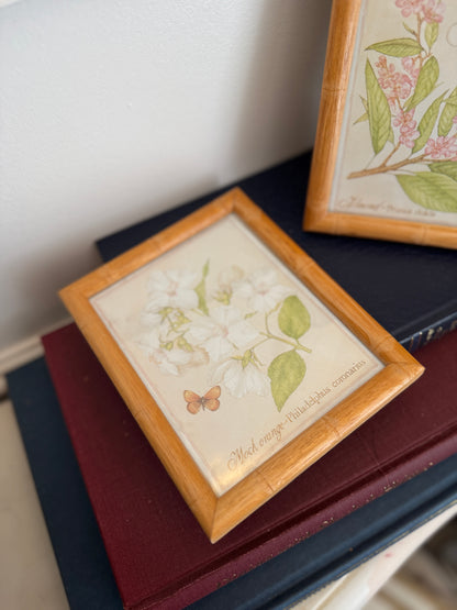 The Bamboo Keepsake Duo Set