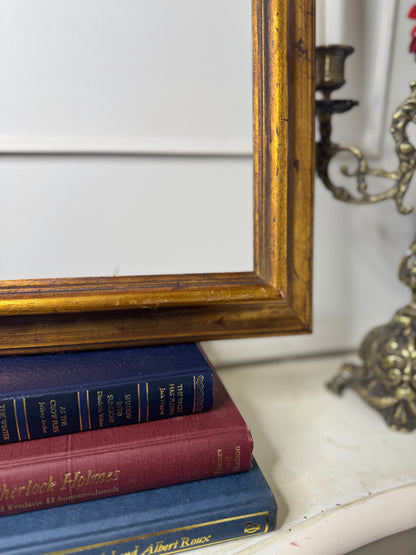 The Savoy Gilt Stretch  Extra Thick Gilt Frame