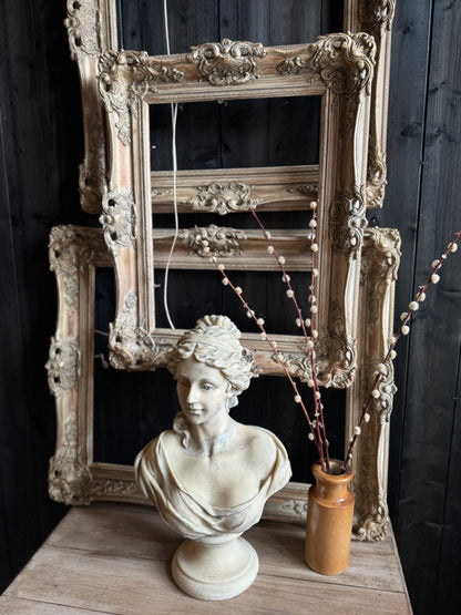Distressed Ornate Louis Style Frame Collection – Gold & White Finish