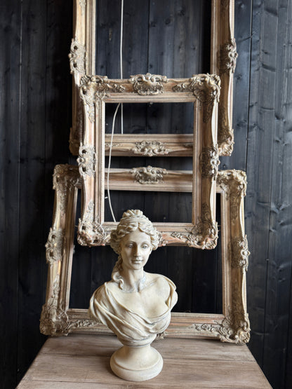 Distressed Ornate Louis Style Frame Collection – Gold & White Finish
