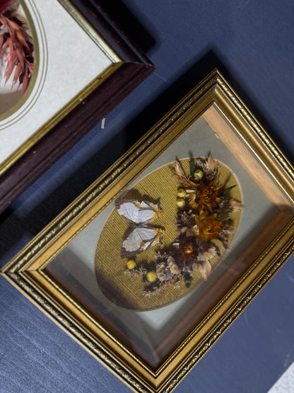 Heritage Botanica Collection – Signed Handmade Dried Flower Art Sets