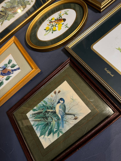 Vintage Gallery Wall Set: Regal Woodland Vintage Frame Series