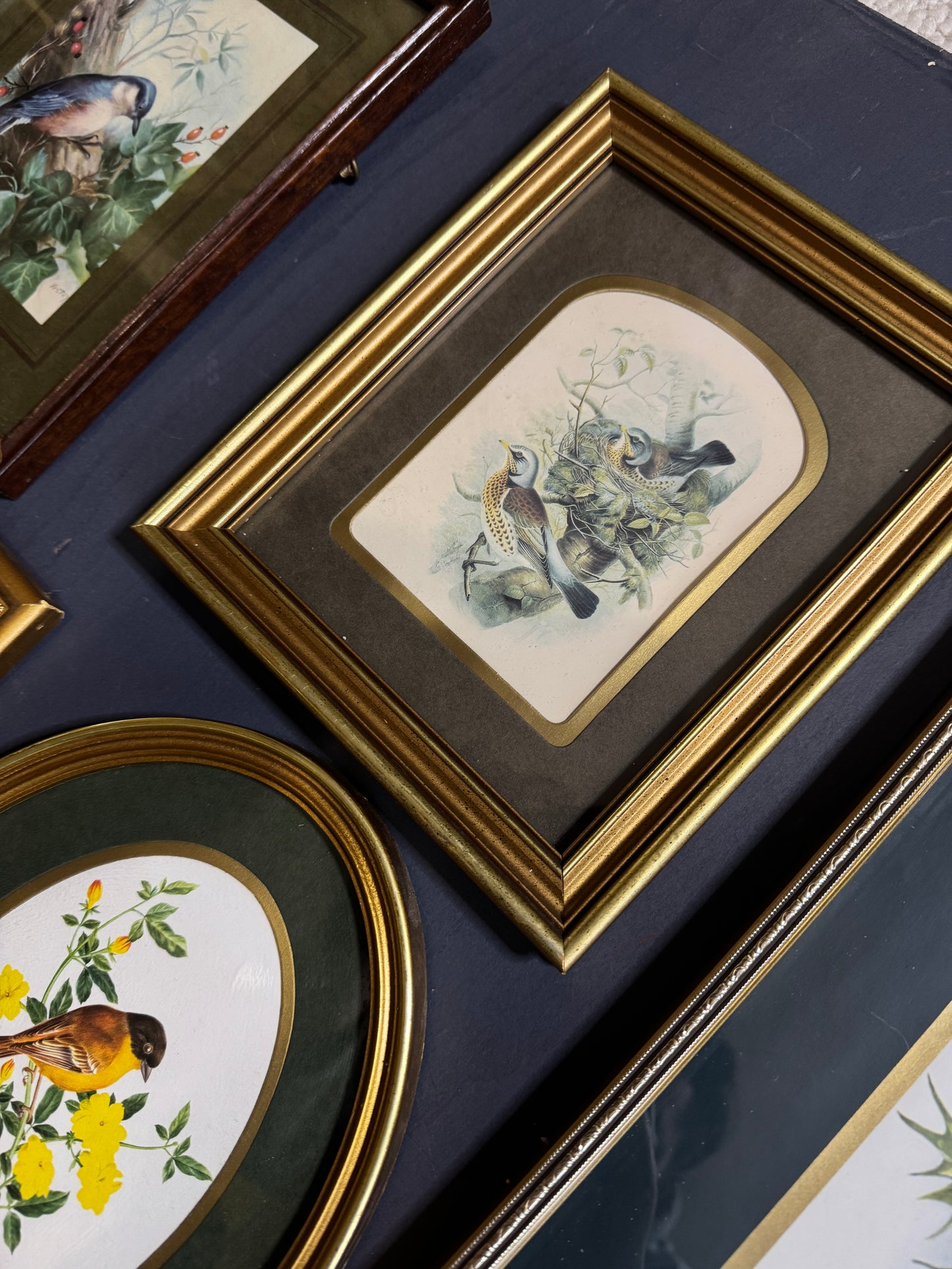 Vintage Gallery Wall Set: Regal Woodland Vintage Frame Series