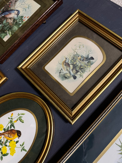 Vintage Gallery Wall Set: Regal Woodland Vintage Frame Series