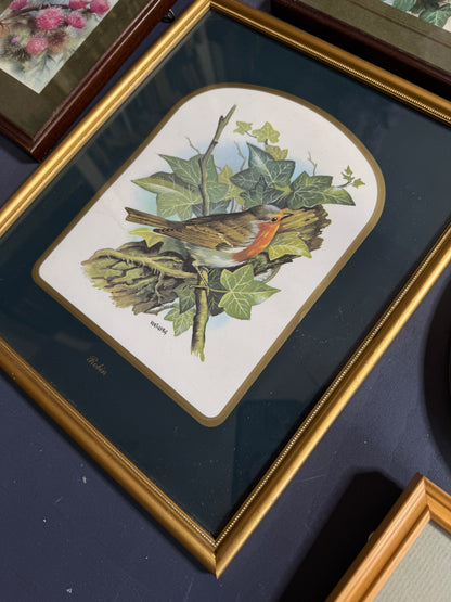 Vintage Gallery Wall Set: Regal Woodland Vintage Frame Series