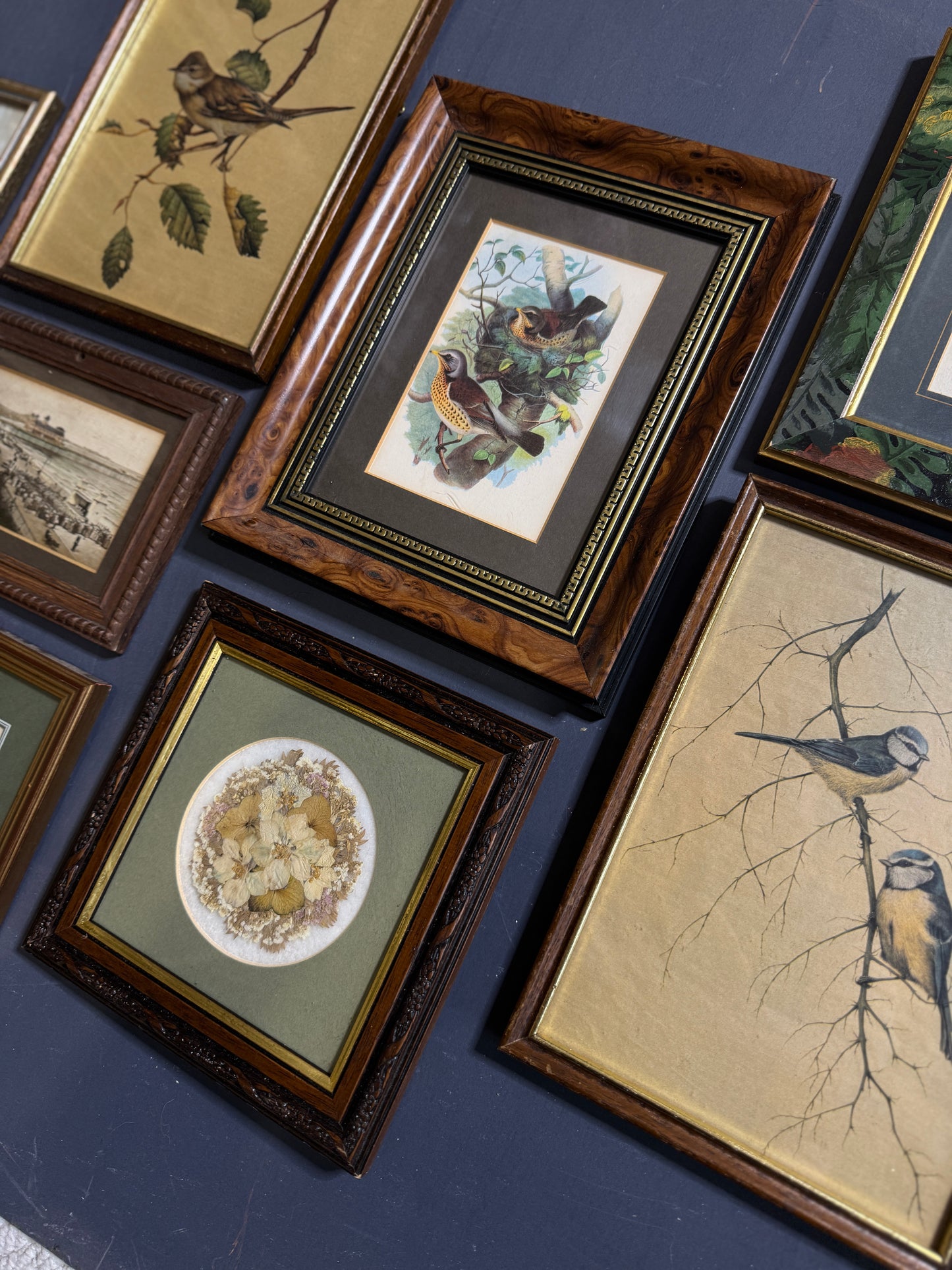 Vintage Gallery Wall Set: Large Heritage Woods Series Collection