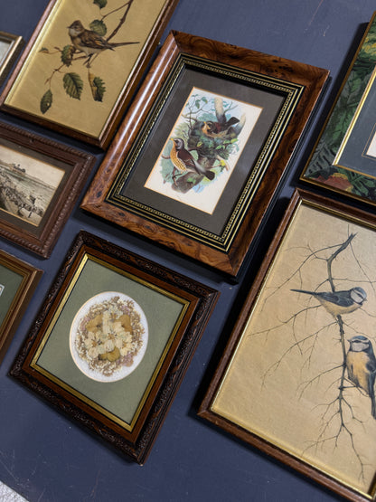 Vintage Gallery Wall Set: Large Heritage Woods Series Collection
