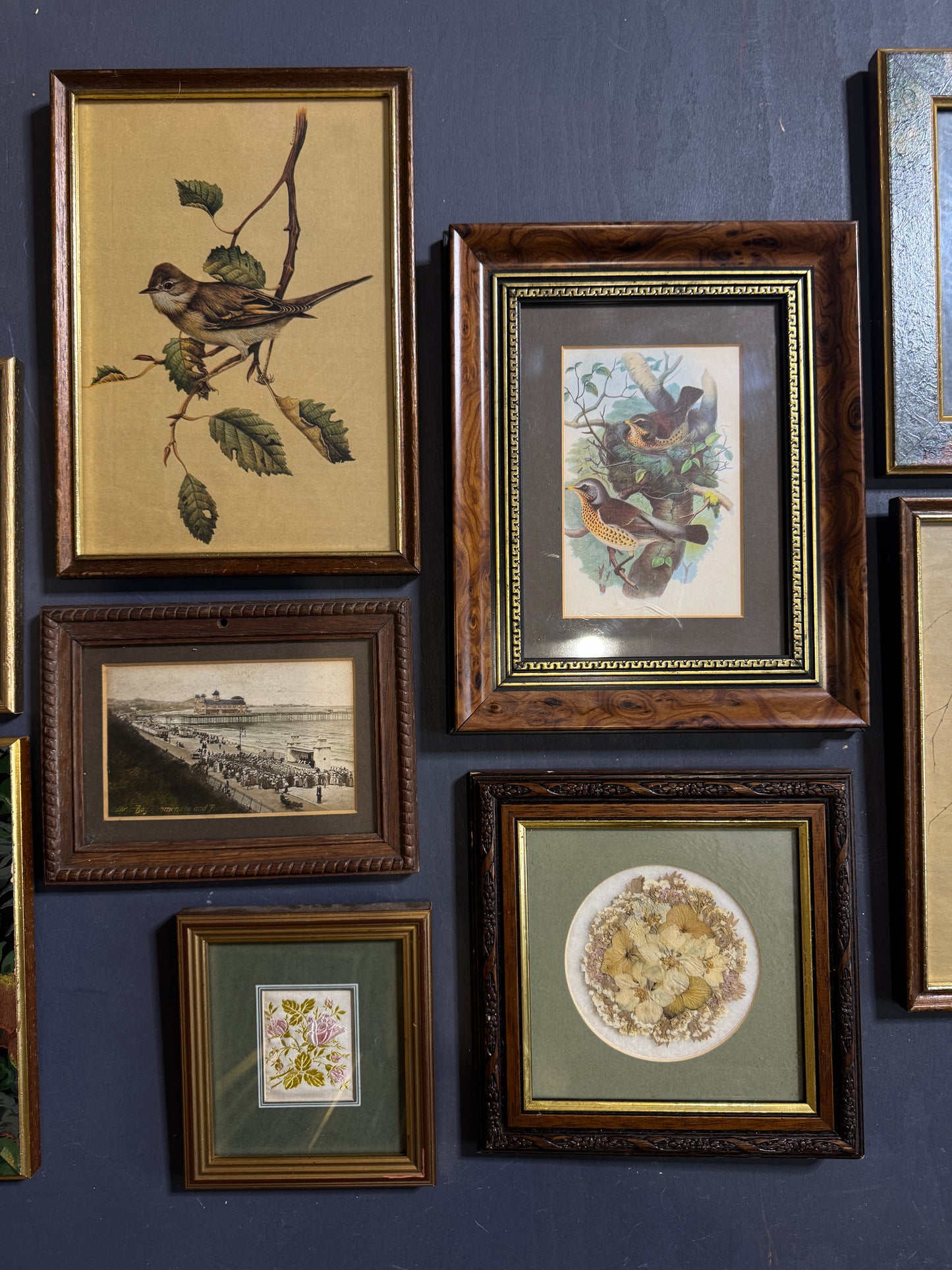 Vintage Gallery Wall Set: Large Heritage Woods Series Collection