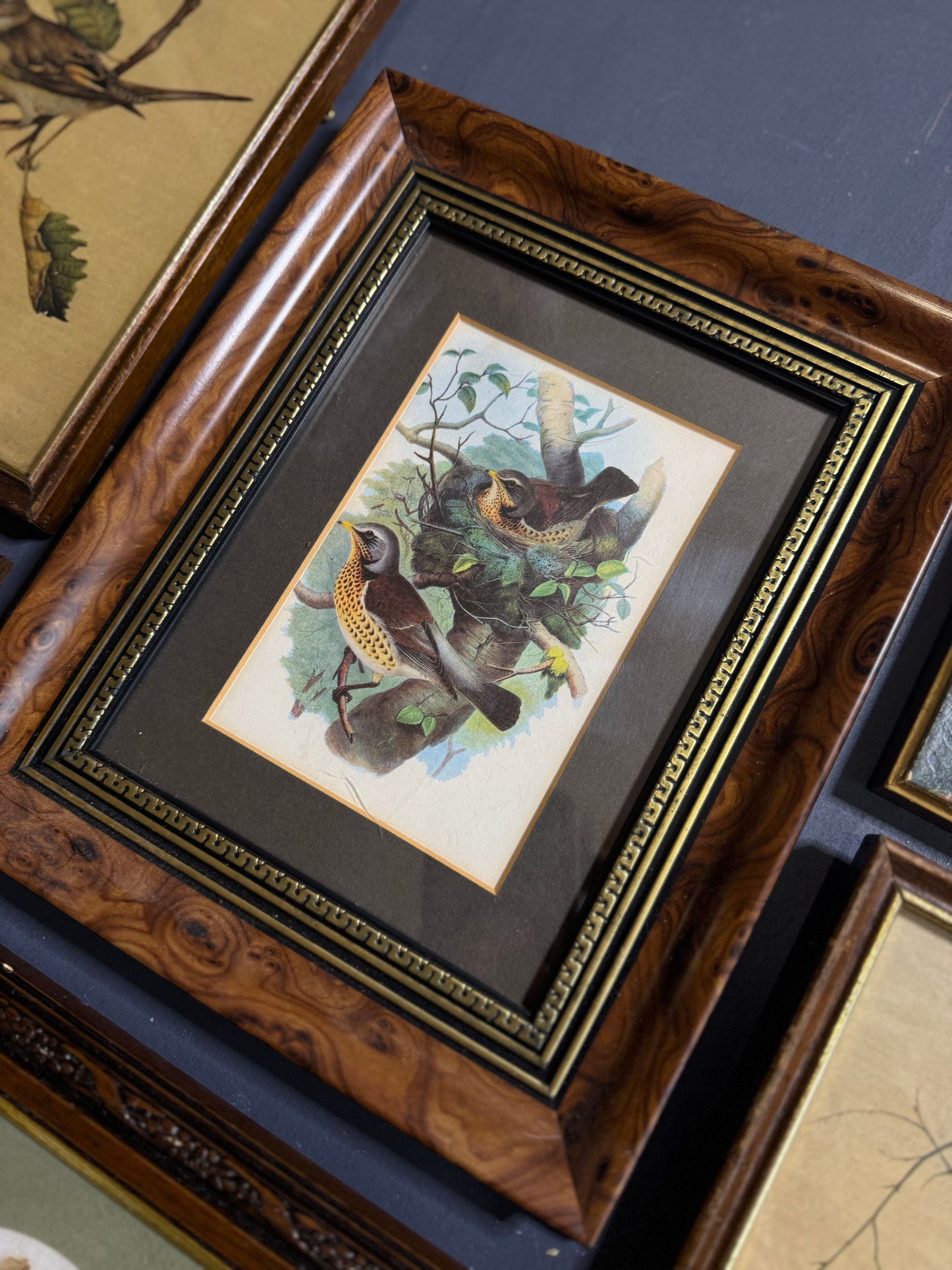 Vintage Gallery Wall Set: Large Heritage Woods Series Collection