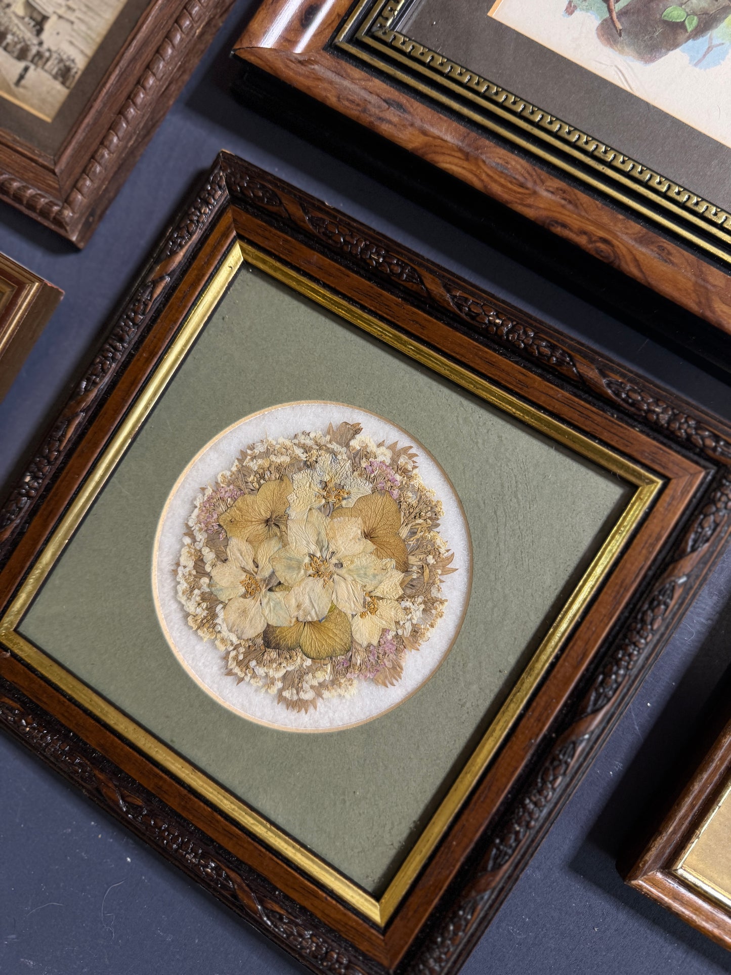 Vintage Gallery Wall Set: Large Heritage Woods Series Collection
