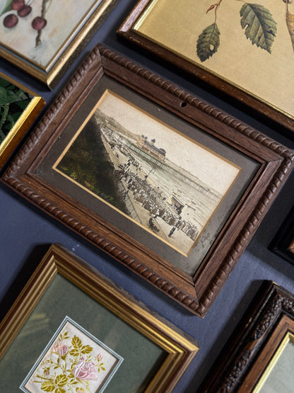 Vintage Gallery Wall Set: Large Heritage Woods Series Collection