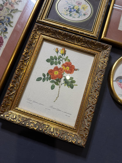 The Blush & Gilded Heirloom Collection: Vintage Artwork Gallery Wall Set
