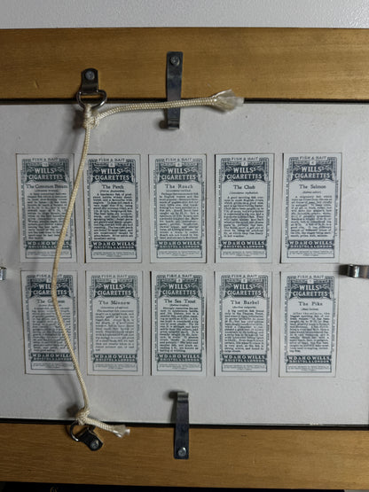 Mounted Collection of Wills Cigarette Cards