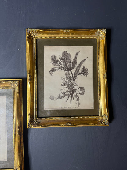 Veloura Verde & Gilt Gallery Collection – Vintage-Inspired Wall Set