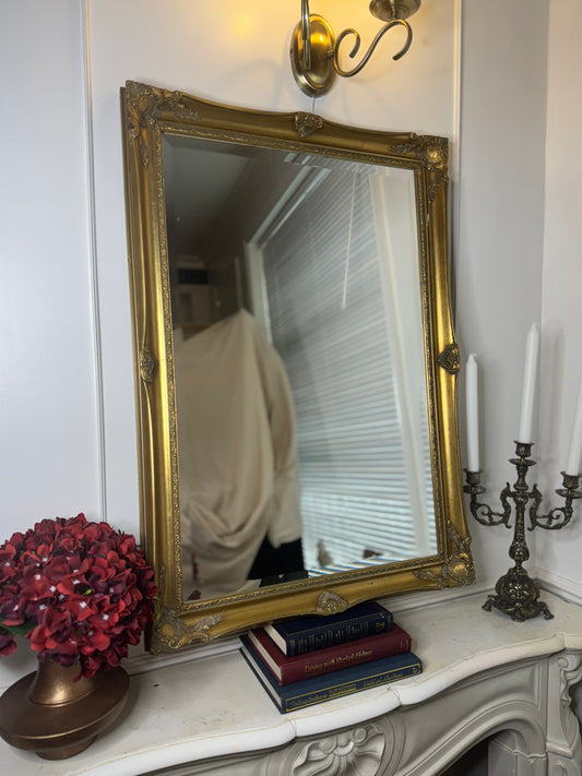 Antique Gold Sorelle Bevelled Mirror