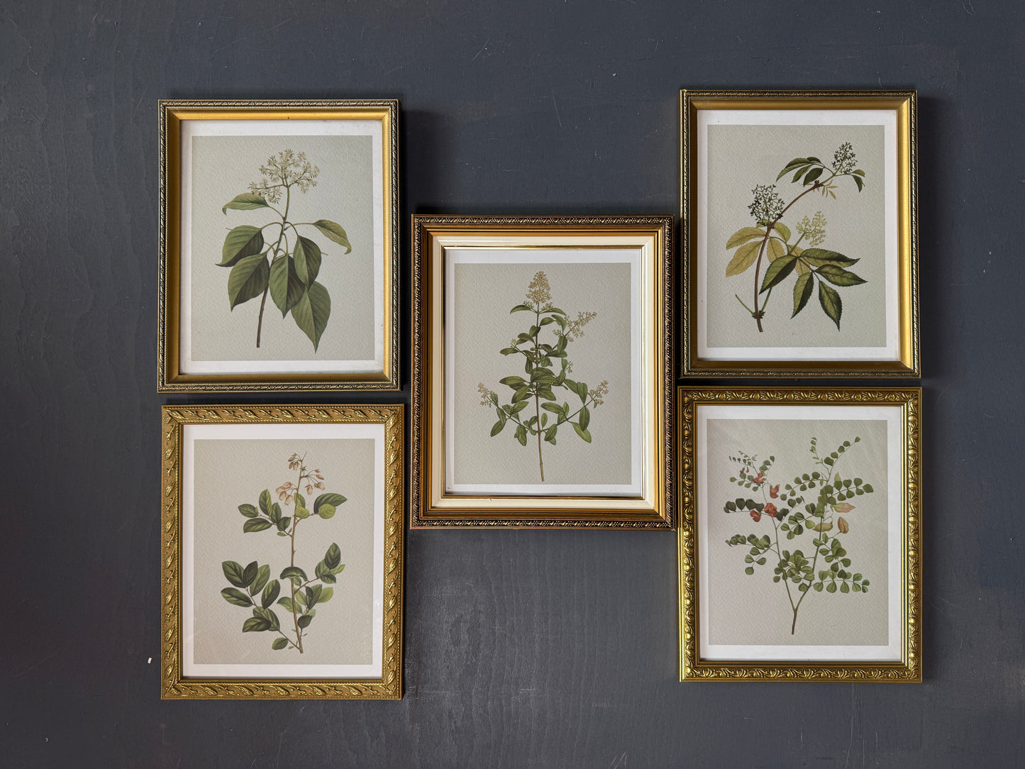 Vintage Cottage Garden Gallery Wall Set – Framed Botanical & Floral Prints