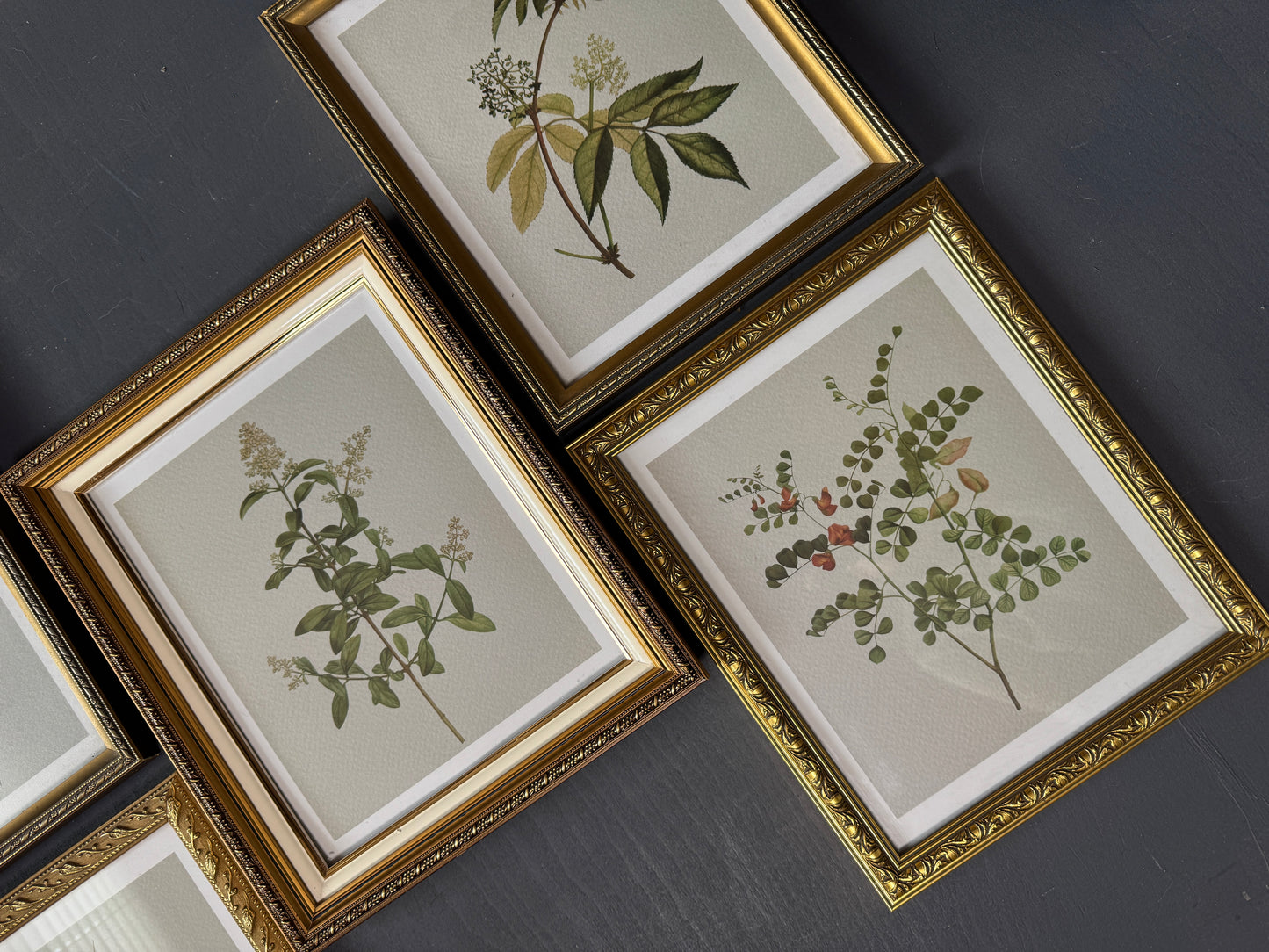 Vintage Cottage Garden Gallery Wall Set – Framed Botanical & Floral Prints