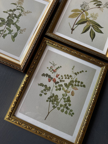 Vintage Cottage Garden Gallery Wall Set – Framed Botanical & Floral Prints