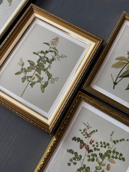 Vintage Cottage Garden Gallery Wall Set – Framed Botanical & Floral Prints