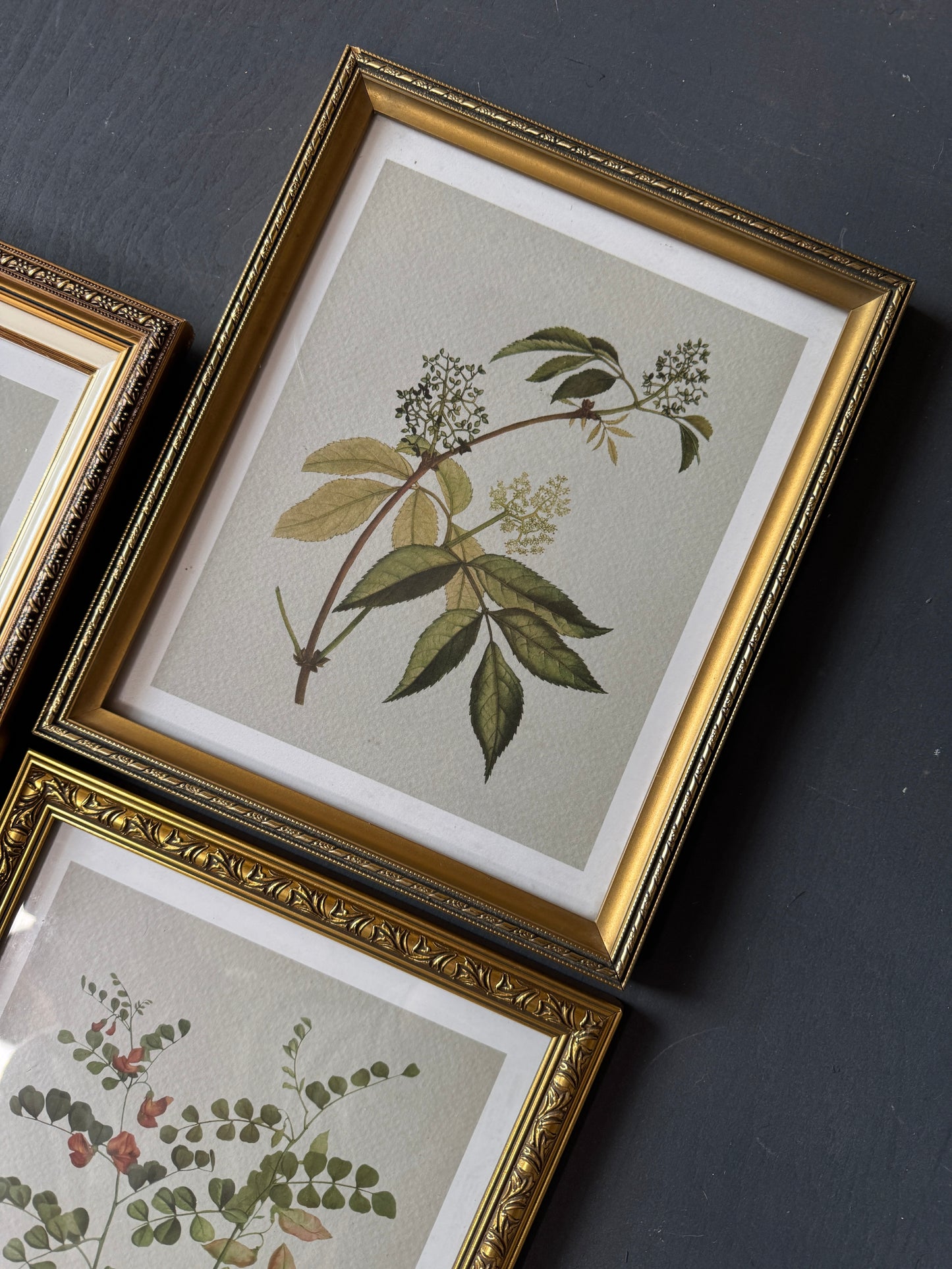 Vintage Cottage Garden Gallery Wall Set – Framed Botanical & Floral Prints