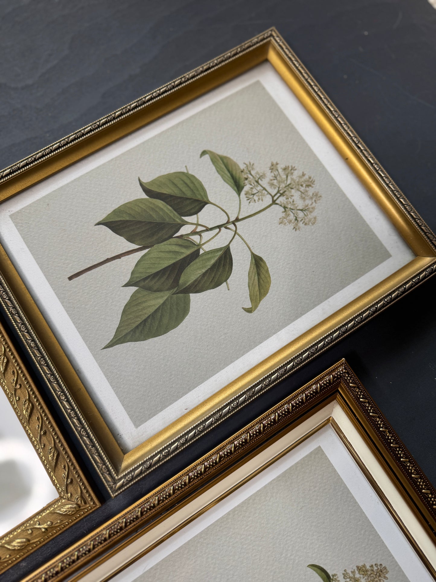 Vintage Cottage Garden Gallery Wall Set – Framed Botanical & Floral Prints