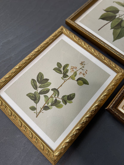 Vintage Cottage Garden Gallery Wall Set – Framed Botanical & Floral Prints
