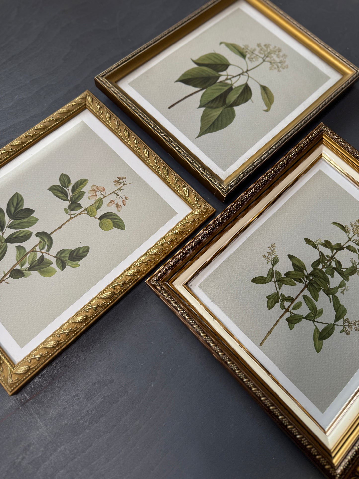 Vintage Cottage Garden Gallery Wall Set – Framed Botanical & Floral Prints