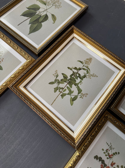 Vintage Cottage Garden Gallery Wall Set – Framed Botanical & Floral Prints