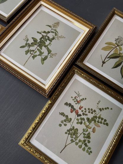 Vintage Cottage Garden Gallery Wall Set – Framed Botanical & Floral Prints