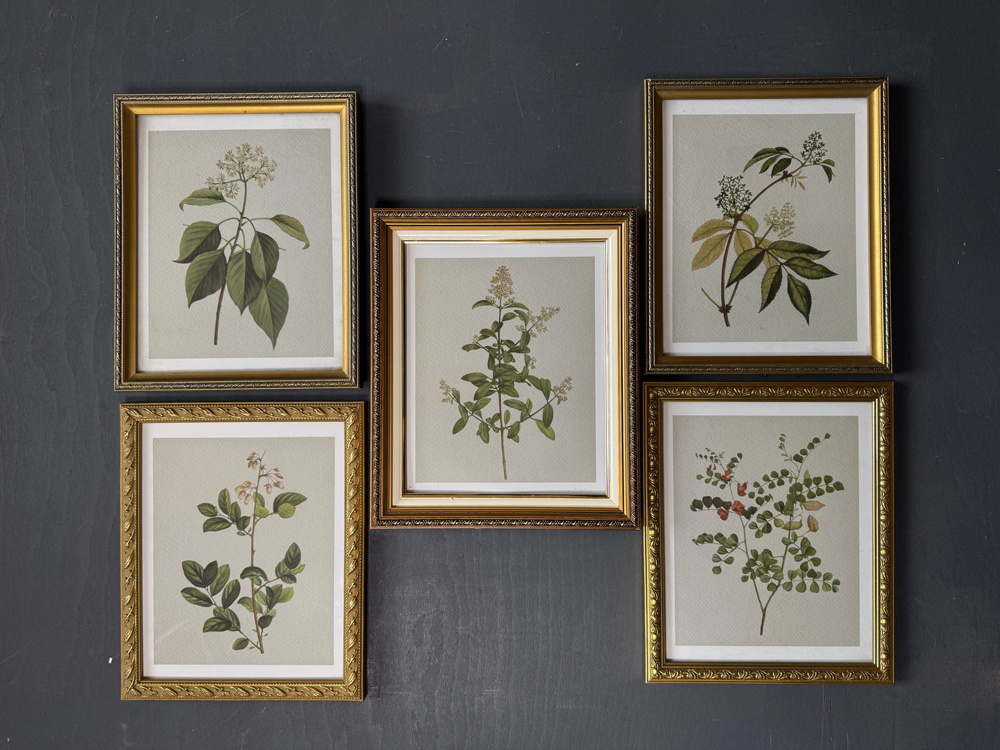 Vintage Cottage Garden Gallery Wall Set – Framed Botanical & Floral Prints