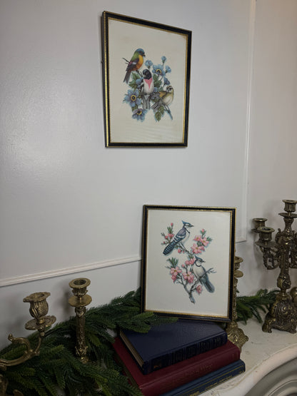Wings of Elegance – Pair of Vintage Bird Prints