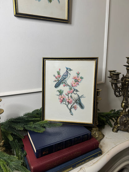 Wings of Elegance – Pair of Vintage Bird Prints