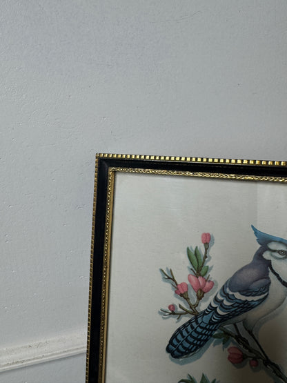 Wings of Elegance – Pair of Vintage Bird Prints