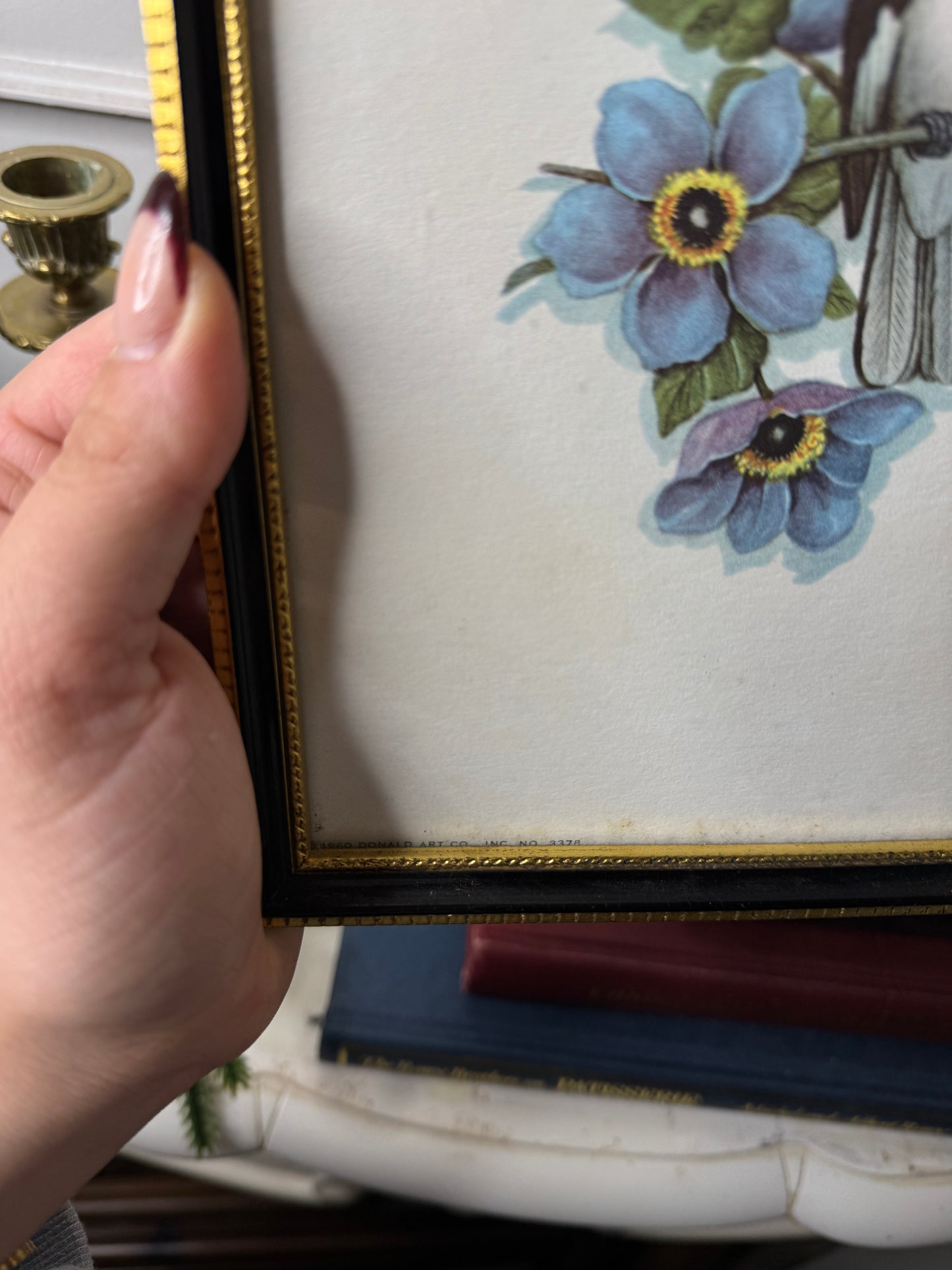 Wings of Elegance – Pair of Vintage Bird Prints