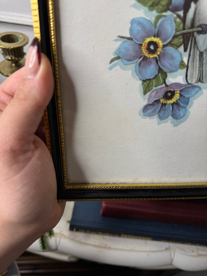 Wings of Elegance – Pair of Vintage Bird Prints