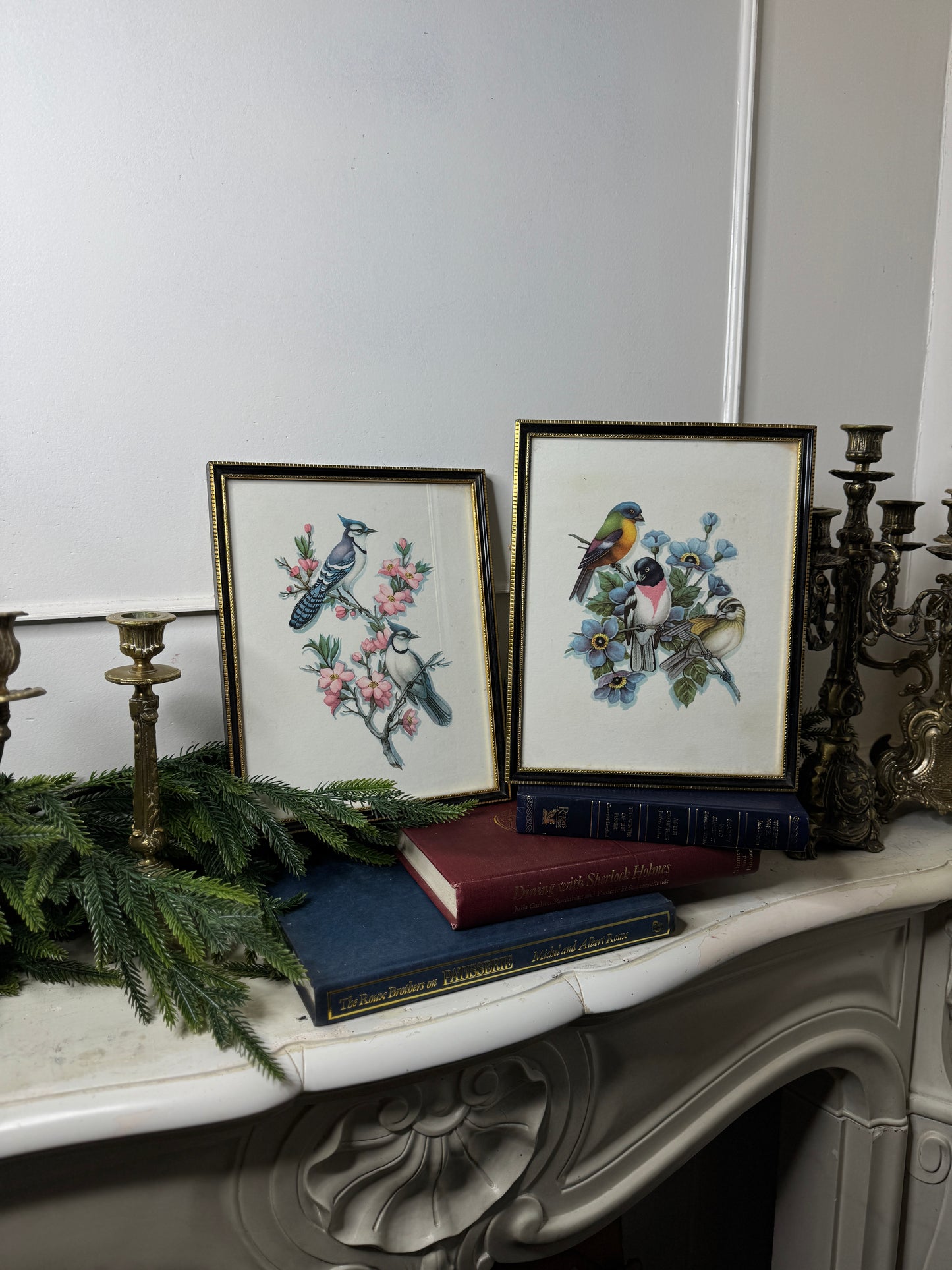 Wings of Elegance – Pair of Vintage Bird Prints