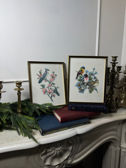 Wings of Elegance – Pair of Vintage Bird Prints