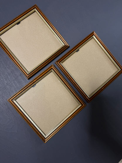 Small Vintage Matching Square Frame Set of 3