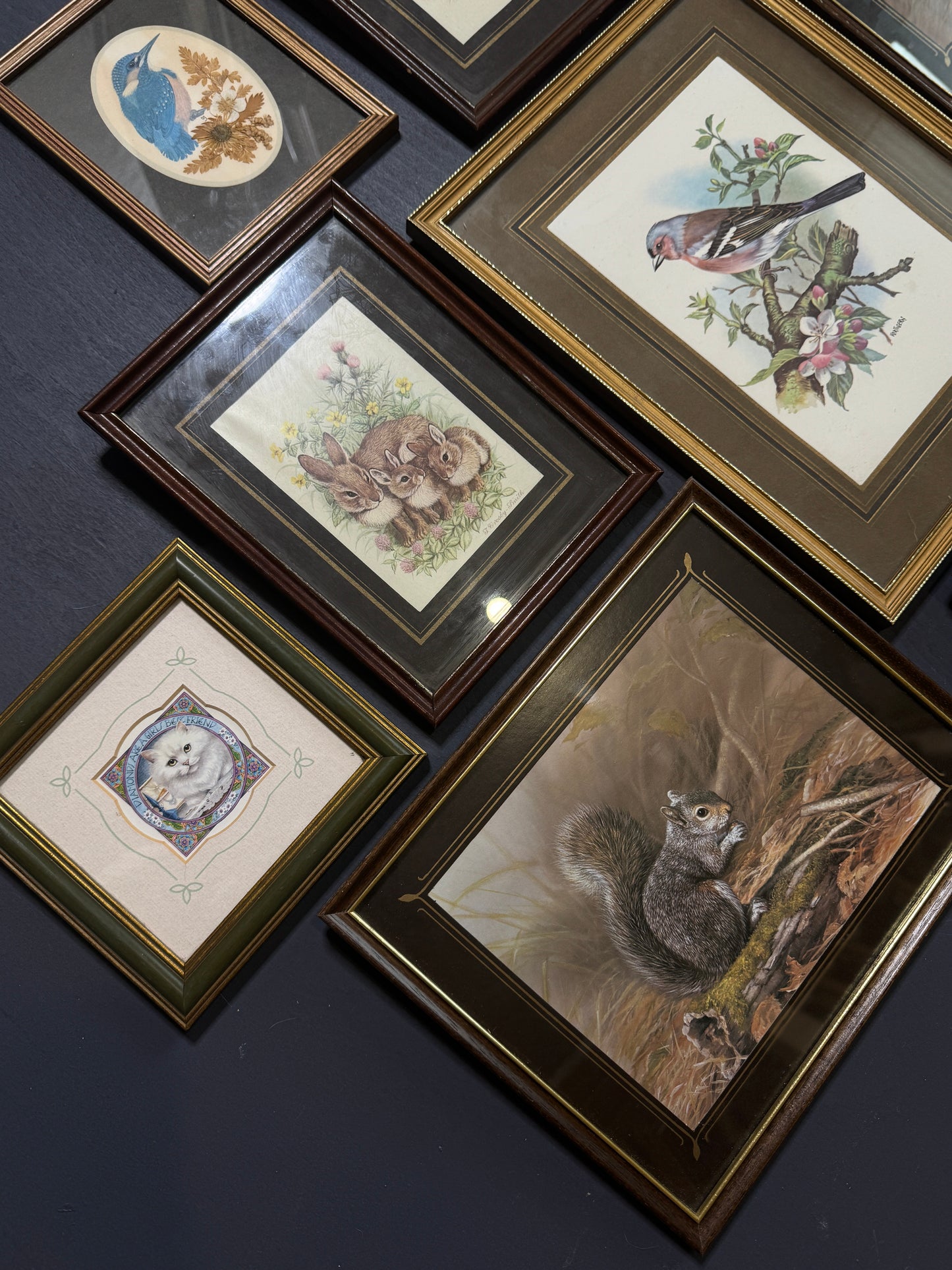 Vintage Gallery Wall Set: Regal Woodland Vintage Frame Series