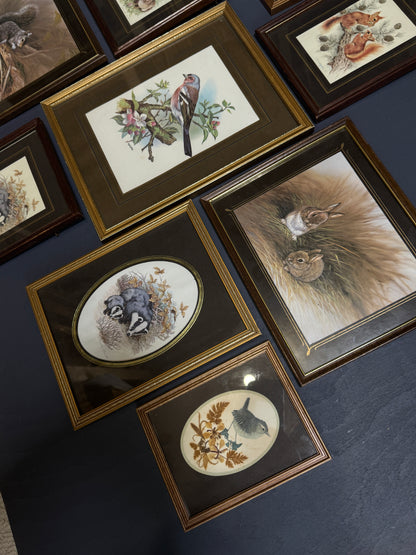 Vintage Gallery Wall Set: Regal Woodland Vintage Frame Series