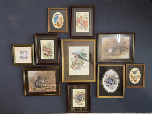 Vintage Gallery Wall Set: Regal Woodland Vintage Frame Series