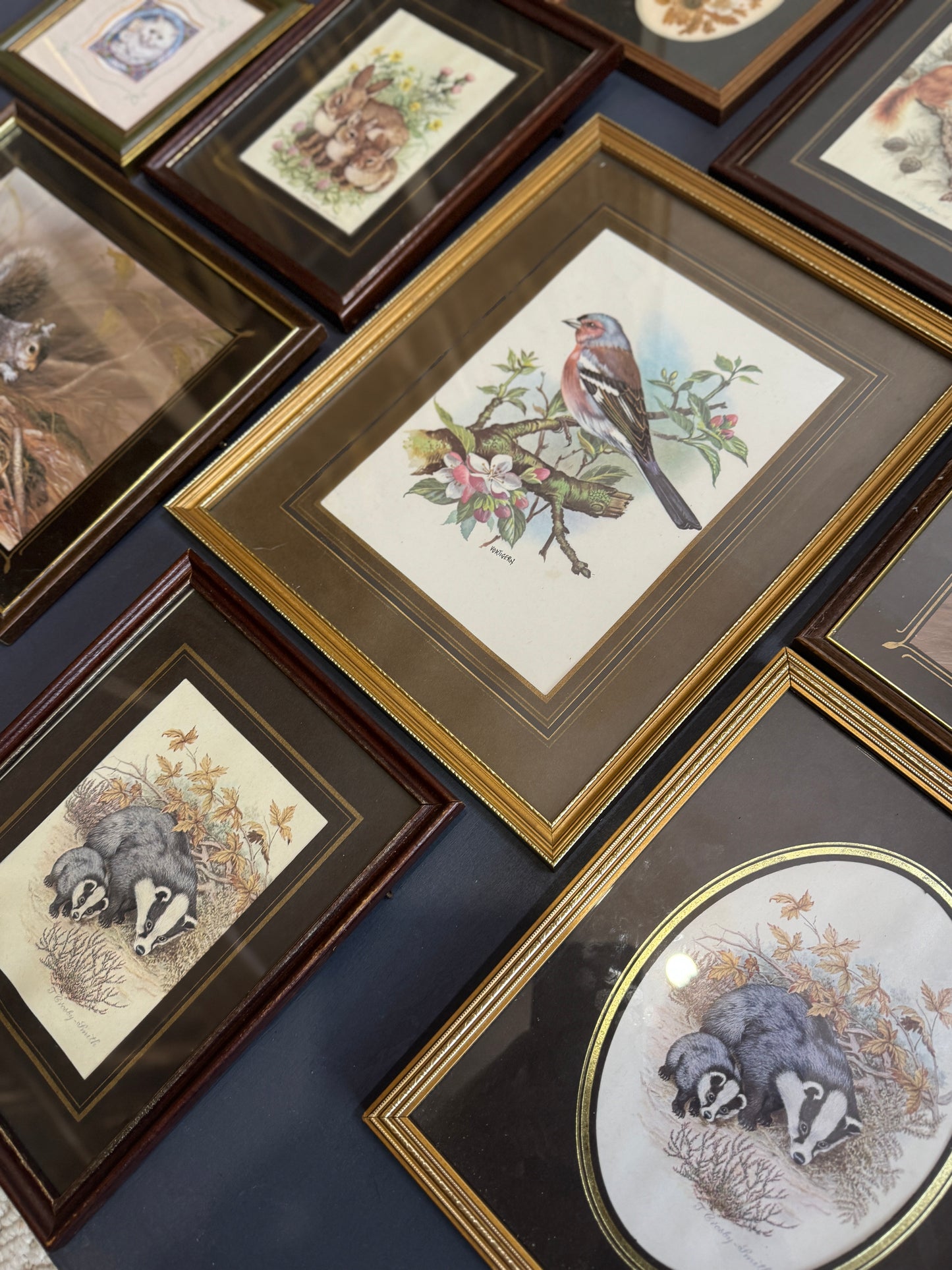 Vintage Gallery Wall Set: Regal Woodland Vintage Frame Series
