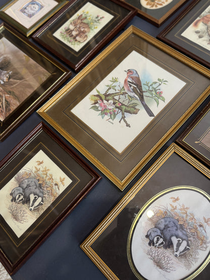 Vintage Gallery Wall Set: Regal Woodland Vintage Frame Series