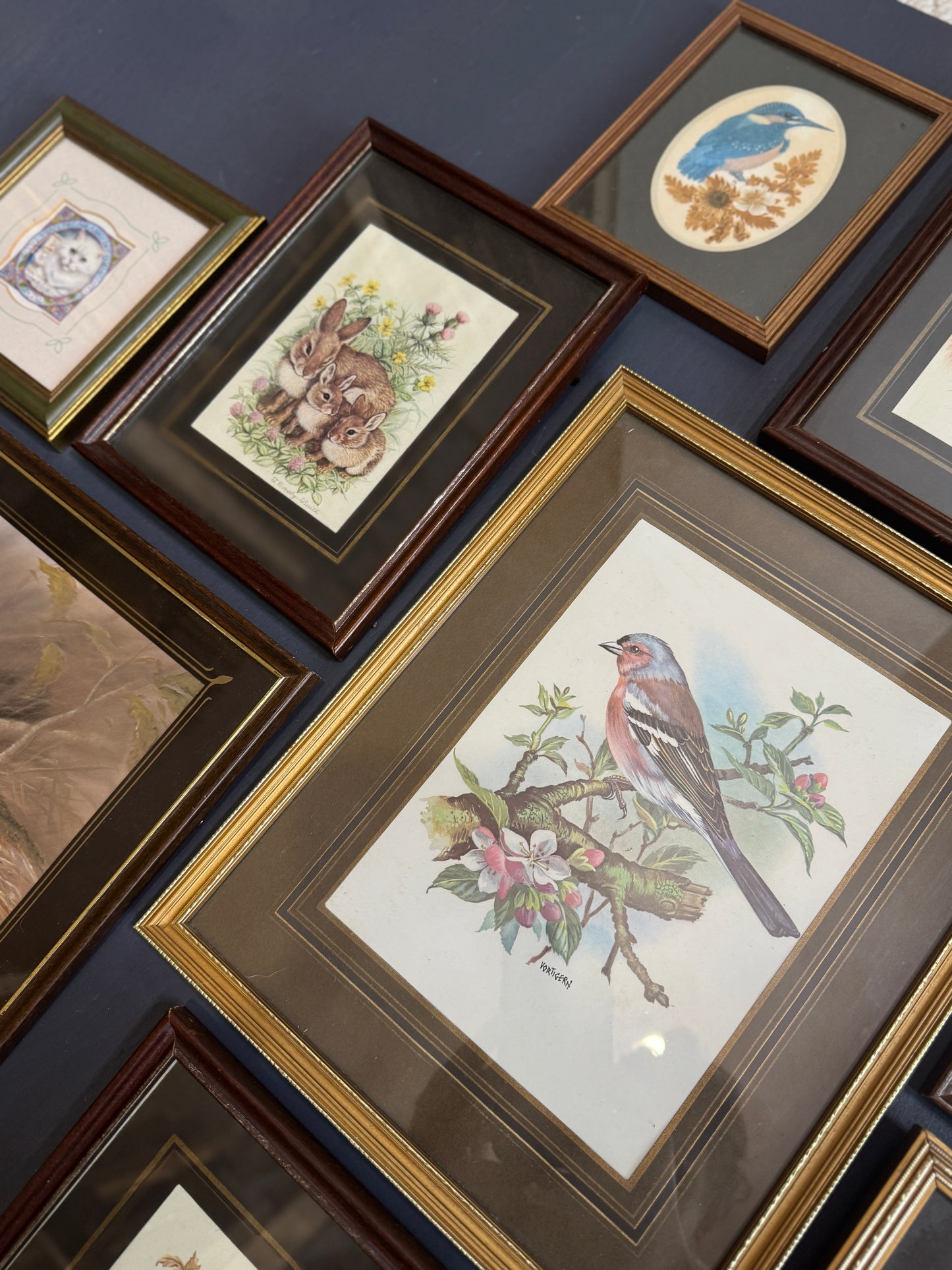Vintage Gallery Wall Set: Regal Woodland Vintage Frame Series