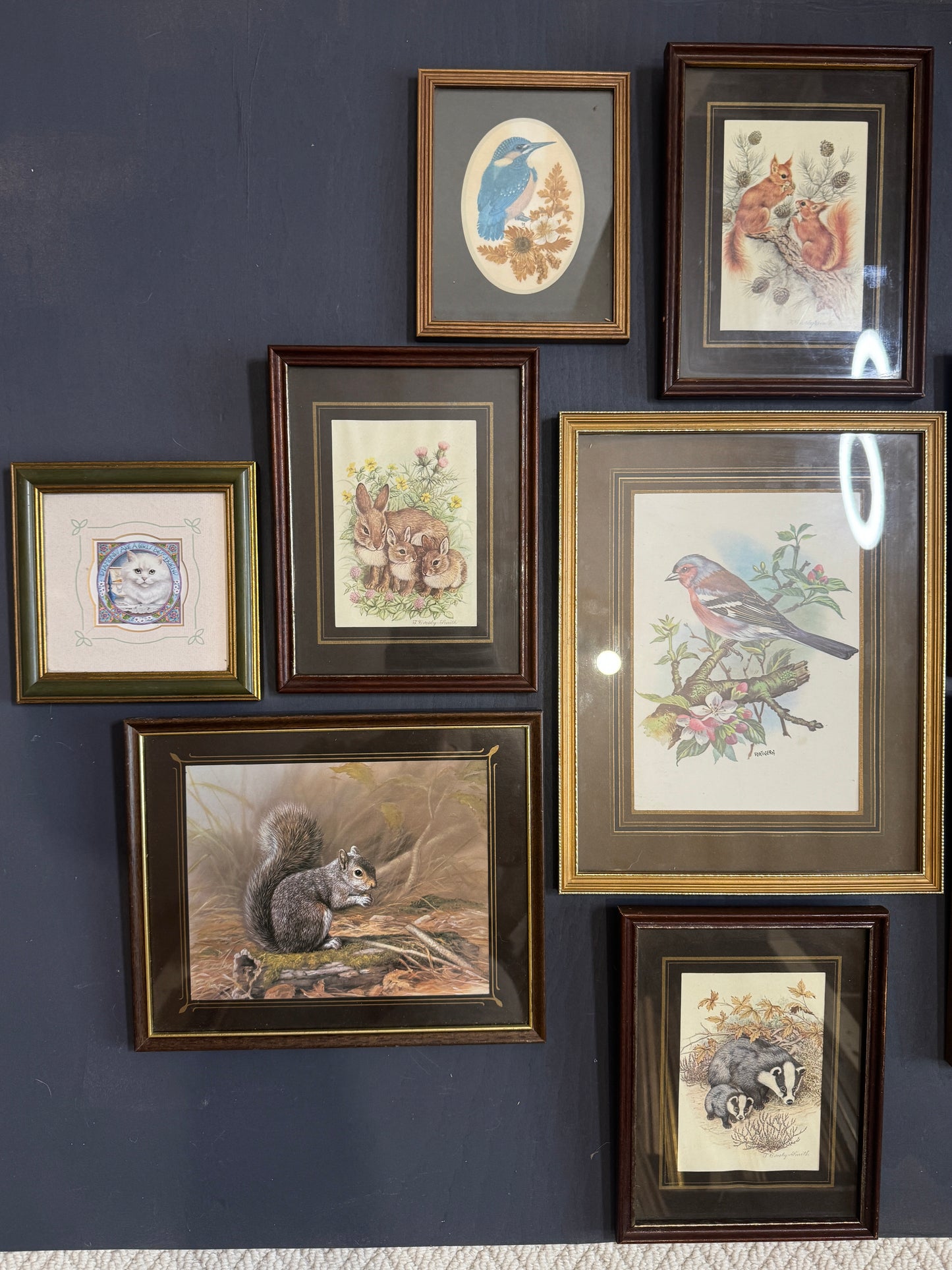 Vintage Gallery Wall Set: Regal Woodland Vintage Frame Series
